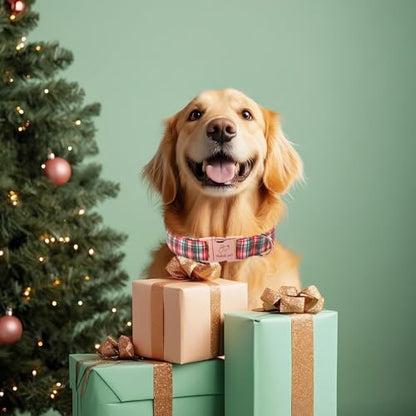 Christmas Plaid Dog Collar for Puppy Small Dogs - Green & Rose Tartan Christmas Collars for Dogs, Sweet Festive Winter Heavy-Duty Adjustable Dog Collars with Metal Buckle XS