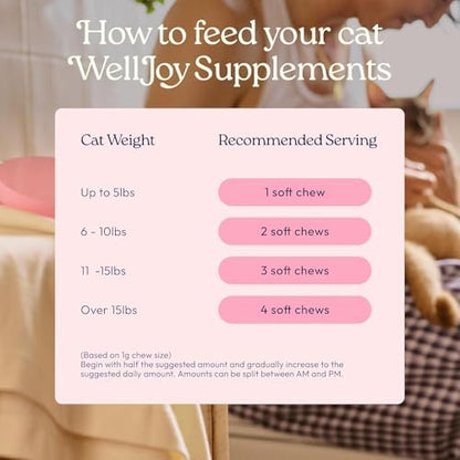 WellJoy Urinary Cat Supplement + D-Mannose, Cranberry, GutBoost, 90ct