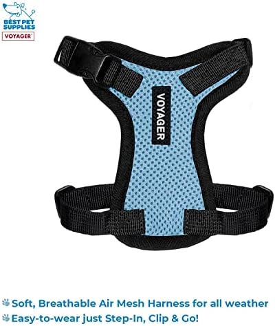 Best Pet Supplies Voyager Step-in Lock Pet Harness w Reflective Pet Leash Combo Set with Neoprene Handle 5ft - Supports Small, Medium and Large Breed Puppies/Cats - Baby Blue/Black Trim, XXXS