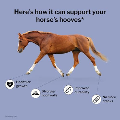 Formula 707 Hoof Health Equine Supplement 5 lb Bag - 80 Servings – Biotin, Amino Acids, and Minerals to Improve and Support Healthy Horse Hooves