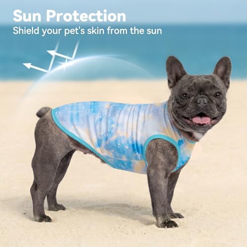 cyeollo 2Pack Dog Cooling Shirts Evaporative Dog Cooling Vest, 2XL Blue Sky