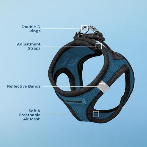 Voyager Step-in Air Dog Vest Harness - Blue/Black Trim, X-Large