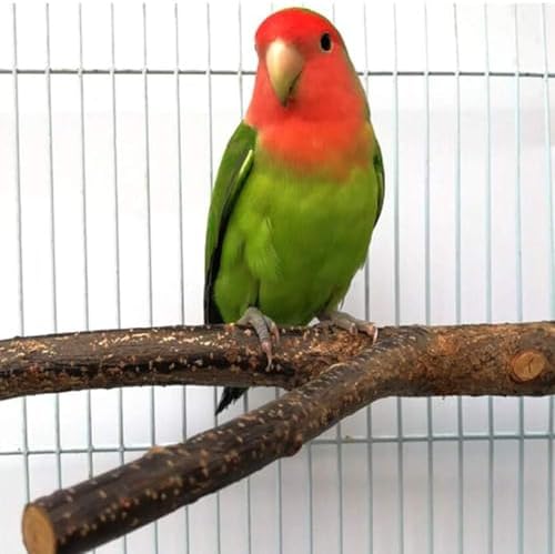 4 Pack Natural Wood Bird Perch Set for Parakeet Cage