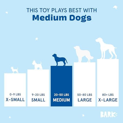 BarkBox Paula's Park Slope Pretzel Dog Toy - for Medium Dogs
