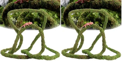USMOLA Moss Vine for Reptiles, Bendable Climbing Vines Reptile Tank Accessories, Natural Moss Rope for Leopard Gecko, Lizard, Snake, Chameleon, Frog Terrarium Decor (Jungle Green, 6.5 FT) (Pack of 2)