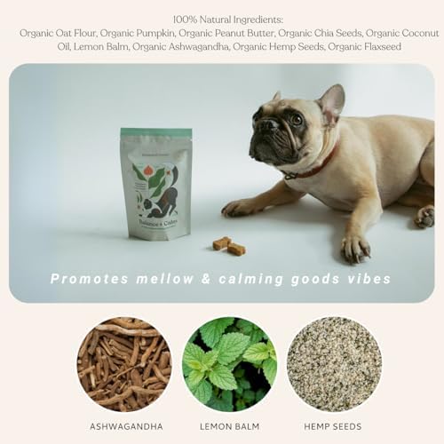 Superfood Dog Treat Bundle, Plant-Based, Organic, Clean Ingredients, Baked in The USA, Everyday Dog Treats for All Dogs, Wheat-Free, All-Natural Biscuits