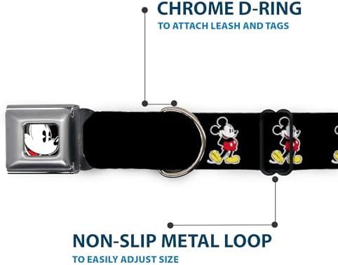 Dog Collar Seatbelt Buckle Jasmine Aladdin Carpet Ride Jasmine Poses Flowers 13 to 18 Inches 1.5 Inch Wide