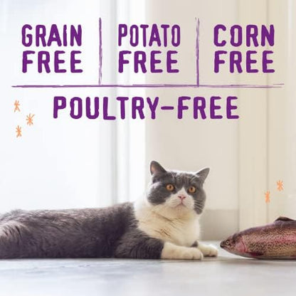 Stella & Chewy's Raw Blend Premium Kibble Cat Food – Grain Free, Protein Rich Meals – Wild-Caught Fish Recipe – 5 lb. Bag
