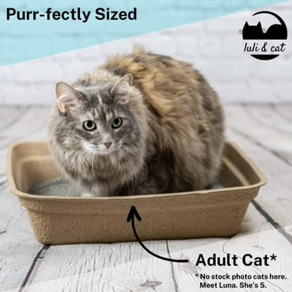 8-Pack Disposable Litter Boxes for Cats | Size Large | Durable and Water Resistant