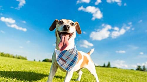 Lionet Paws Dog Bandana for Small Medium Large Dogs, Cat Kerchief Blue Plaid, Triangle Bibs Scarf for Girl or Boy