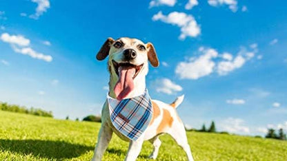 Lionet Paws Dog Bandana for Small Medium Large Dogs, Cat Kerchief Blue Plaid, Triangle Bibs Scarf for Girl or Boy
