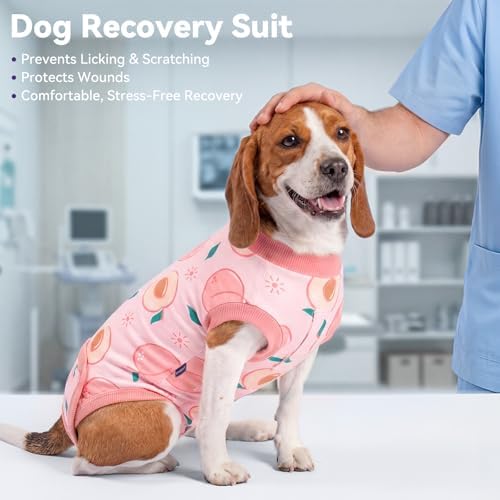 cyeollo Dog Surgery Recovery Suit, Spay Neuter Onesie for Female Male Dogs