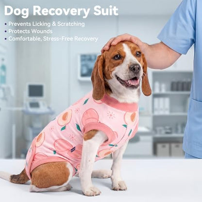 cyeollo Dog Surgery Recovery Suit, Spay Neuter Onesie for Female Male Dogs