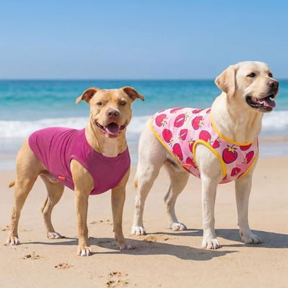 KYEESE 2Pack Dog Shirts for Medium Large Dogs Breathable Mesh Tank Top