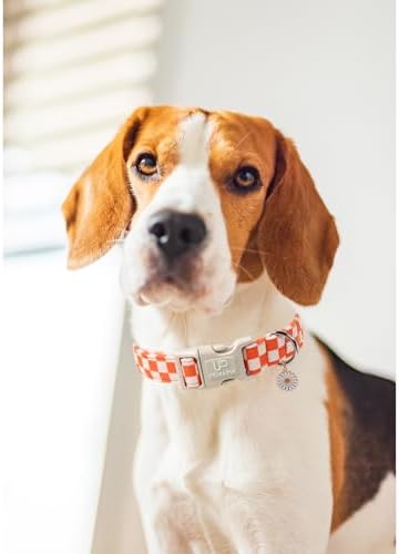 Gingham Fall Dog Collar – Adjustable Orange Picnic Checkered Dog Collar with Daisy Pendant, Classic Autumn Dogs Collars for Girl Boy Dogs