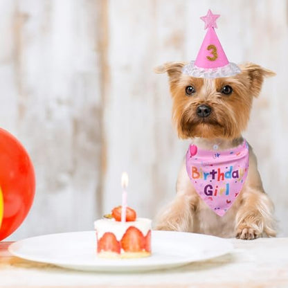 Dog Birthday Bandana Set, Dog Birthday Party Supplies