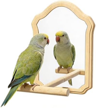 Bird Mirror with Wooden Perch for Parakeet, 21cm Bird Toy for Cage