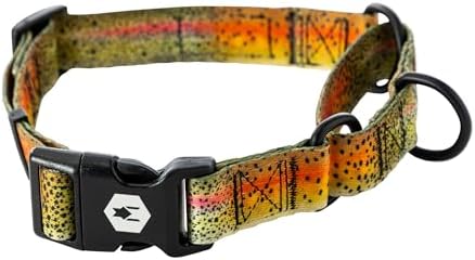 Wolfgang Heavy Duty Martingale Dog Collar with Quick Release Nylon Buckle for Walking & Training, CutBow Print, Large