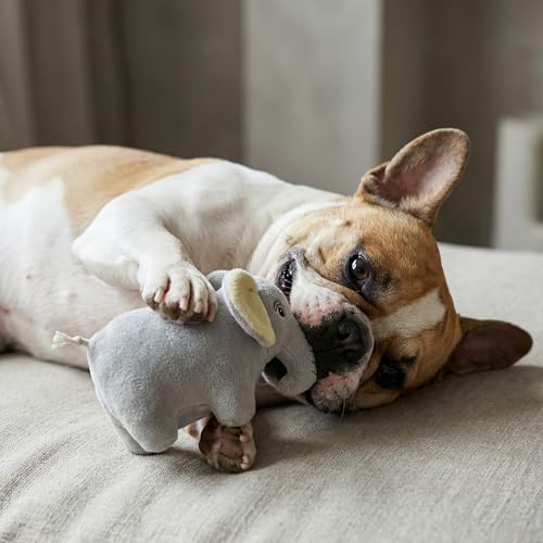 Premium Plush Dog Toy - Elephant Plush Dog Toy, Small Eco Friendly