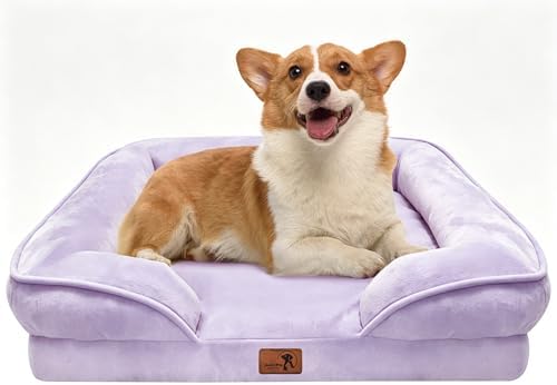 Spotted Play Orthopedic Dog Bed with Sides - Sofa Beds for Medium Dogs, Supportive Foam Pet Couch Bed with Washable Removable Cover, Waterproof Lining and Non-Slip Bottom, Purple - M