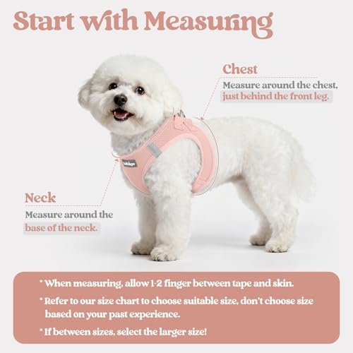 rabbitgoo Dog Harness Medium Sized and Leash Set, Step-in Puppy Pet Vest
