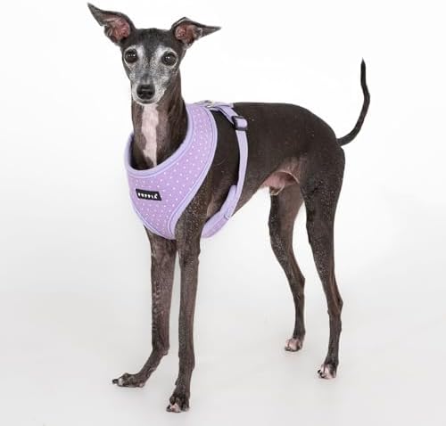 Puppia Dotty Dog Harness A (Over-the-Head) Fashionable Polka Dot Pattern Spring Summer Harness for Small Dogs, Violet, Large