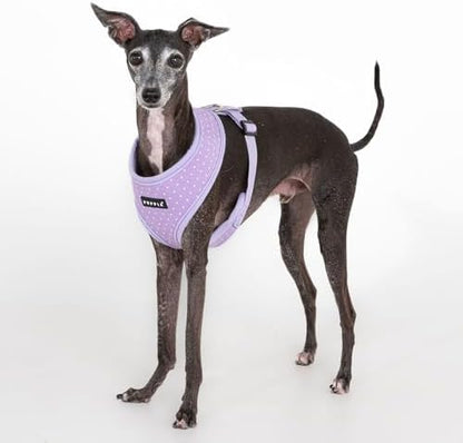 Puppia Dotty Dog Harness A (Over-the-Head) Fashionable Polka Dot Pattern Spring Summer Harness for Small Dogs, Violet, Large