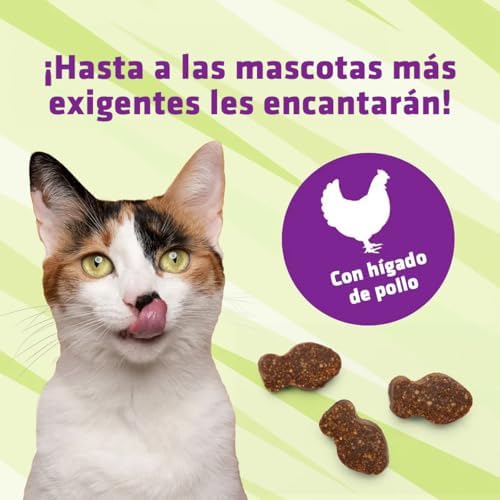 Pet Naturals Lysine for Cats,Chicken Flavor,60 Chews - Immune and Respiratory Support for Cats - No Wheat or Corn - Vet Recommended,(Pack of 2)