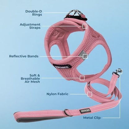 Best Pet Supplies Voyager Step-in Air All Weather Mesh Harness and Reflective Dog 5ft Leash Combo with Neoprene Handle, for Small, Medium and Large Breed Puppies - Pink, X-Small