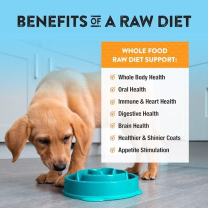 Northwest Naturals Freeze-Dried Turkey Dog Food - Bite-Sized Nuggets - Grain-Free, High-Protein, Raw Diet, Human-Grade, Limited Ingredients, All Natural, Made in the USA, Healthy & Nutritious - 25 Oz