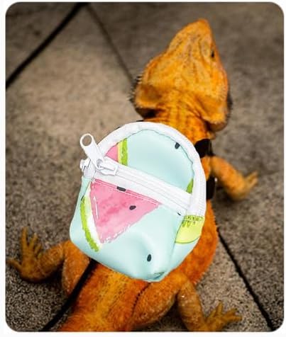 Bearded Dragon Backpack Carrier,Reptile Portable Backpack Carrier with Small Backpack Harness Leash Set,Space Capsule Clear Bubble Window Travel Backpack for Lizard Travel,Guinea Pig,Rabbit