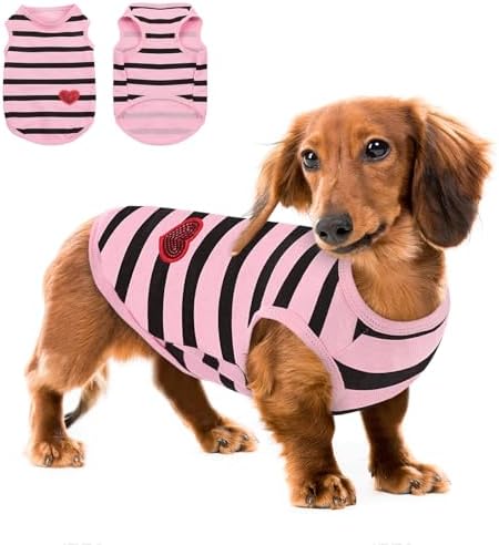 Queenmore Large Dog Shirt,Soft Breathable Dog Shirt for Dogs Cats Boy Girl,Pet Clothes for All Season,Breathable Lightweight Pet Tshirt for Frenchie, Dachshund, Yorkie
