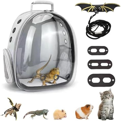 Bearded Dragon Carrier with Harness and Leash Small Pet Carrier