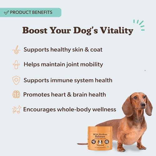 Natural Dog Company Wild Alaskan Salmon Chews for Dogs – Fish Oil Supplement with EPA & DHA for Itchy Skin, Coat, Brain, Joints & Immune Health, Daily Omega-3 Chews, 90 Count