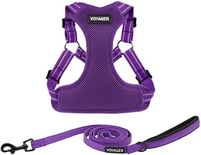 Best Pet Supplies Voyager Adjustable Step-in Flex Breathable Mesh Dog Harness for Small Medium Large Dogs Leash Set (Purple), XS