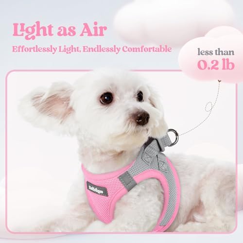 rabbitgoo Dog Harness Small Sized and Leash Set, Step-in Puppy Pet Vest