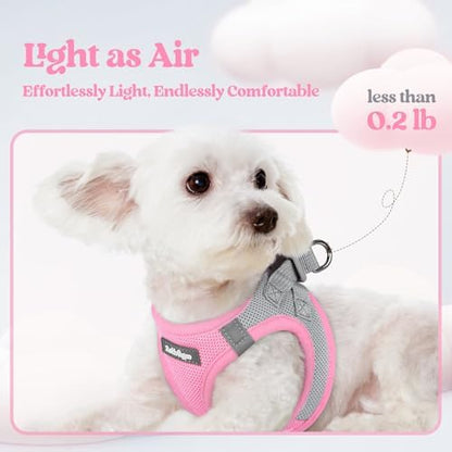 rabbitgoo Dog Harness Small Sized and Leash Set, Step-in Puppy Pet Vest