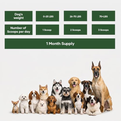 Muscle Formula for Dogs – Glucosamine Chondroitin & Green Lipped Mussel | Shilajit, Ashwagandha | Hip and Joint Supplement for Dogs Muscle Strength & Mobility | Dog Joint Supplement All Breeds