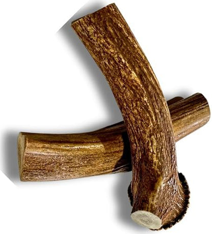 WhiteTail Naturals 2 Pack Monster XXL Deer Antlers for Giant Dogs - 7-8"
