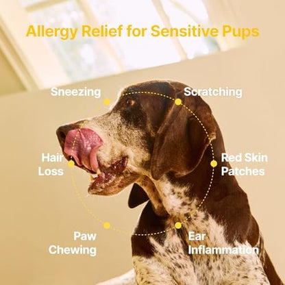 PENPEN Dog Allergy Chews - Anti-Itch & Itchy Skin Support for Dogs, Probiotics & Omega 3 (Fish Oil) for Immune & Gut Health - Peanut Butter Flavor - 180 Soft Chews