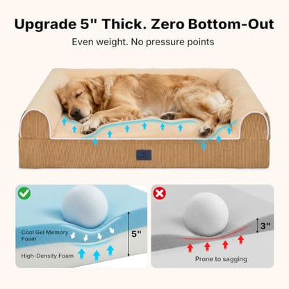 Veehoo Orthopedic Dog Bed for Medium Size Dogs, 5" Extra Thick Memory Foam
