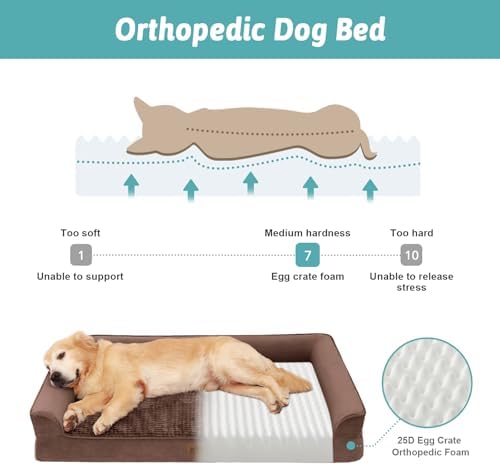 COZY KISS Orthopedic Dog Bed for Extra Large Dogs, U Shaped XL 44x32 inch