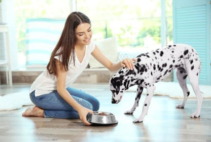 Van Ness Pets Medium Non Tip Stainless Steel Dog Bowl, 32 OZ Food and Water Dish, Wide Base Prevents Spills