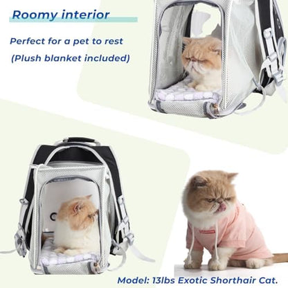 Lollimeow Cat Carrier Backpack, Expandable Bubble Pet Carrier for Cats and Small Dogs, Airline Approved Travel Backpack for Hiking, Walking & Outdoor Adventures - Supports up to 14 lbs
