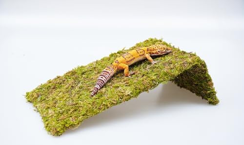 Reptile Moss Climbing Wall for Leopard Gecko, Adjustable Humidity Retaining Terrarium Background, Green Habitat Mat for Shedding Aid & Tank Decoration