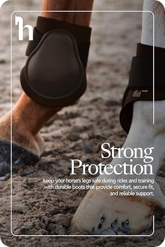 HORZE Chicago Rear Fetlock Boots for Horses, Adjustable Horse Tendon Boots