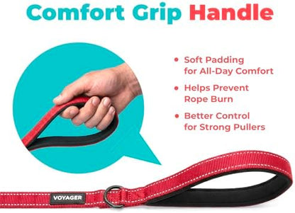 Best Pet Supplies Voyager Nylon Dog Leash - Red, Small