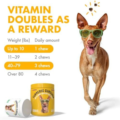 LEGITPET Turmeric Curcumin Hip & Joint Supplement for Dogs – Supports Mobility, Comfort & Overall Wellness – with Collagen & BioPerine – 30 Chews