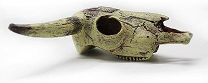 Leoyoubei Aquarium Decoration, Fish Tank Small Skull,Fish Turtle Hidden, Bonsai beautification. Cave Landscape Pet Reptile House Shrimps & Snails Love Them (Cattle Skull)
