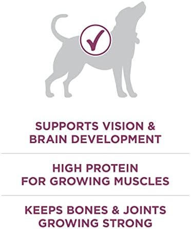 Purina ONE Plus Healthy Puppy Dry Food, Chicken, 16.5 lb Bag